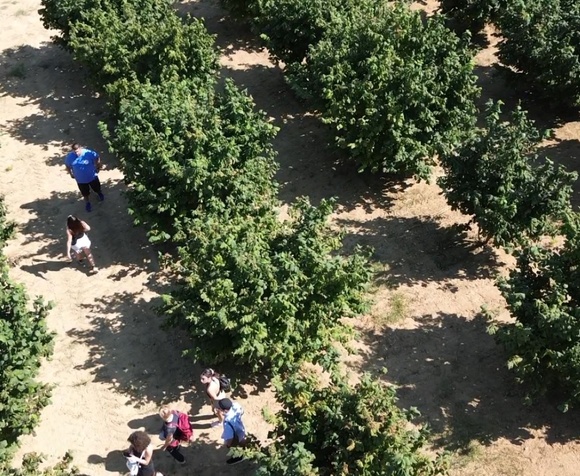 Sunday: Hazelnuts at breakfast and hike