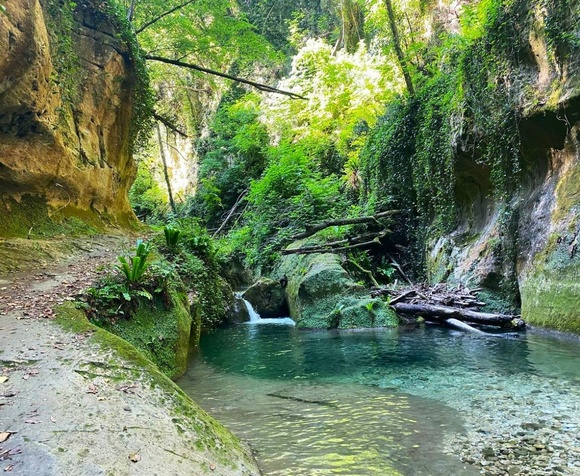 Escursione guidata: le aree protette dell'Abruzzo