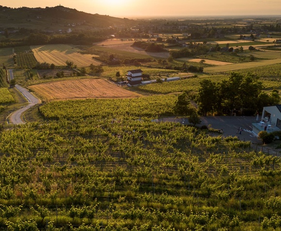 Degustazione di 4 vini a "Cascina La Zerba"