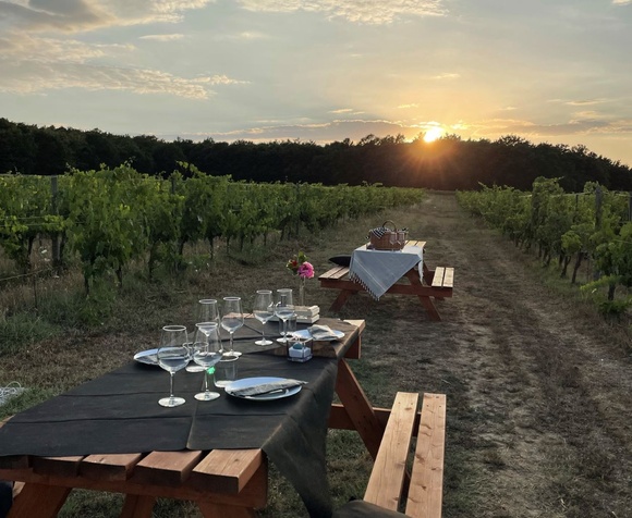 Tuscan Dinner in the Vineyard