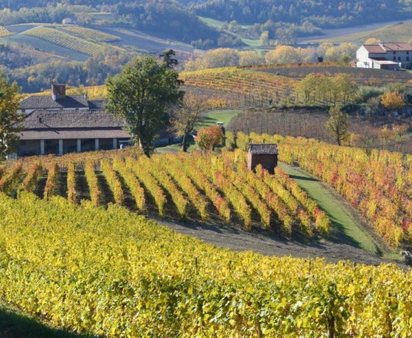 Monferrato Foliage Trekking d'autunno & Degustazione