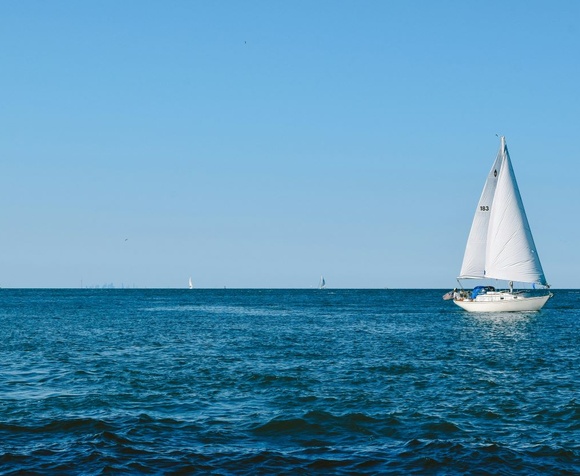 Seawatching by sailboat