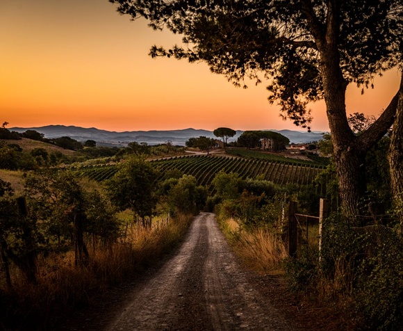 Sunset tour and tasting in Maremma