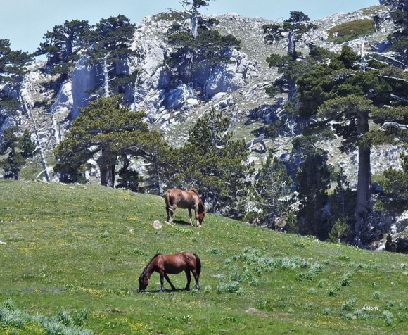 Among the peaks of the Pollino National Park