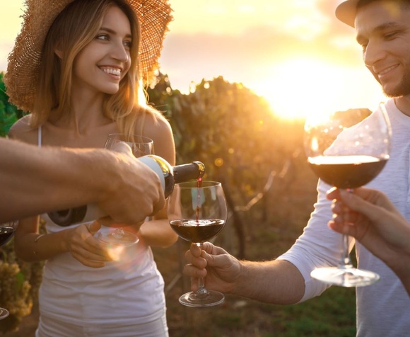 Picnic in the Vineyard in Montepulciano