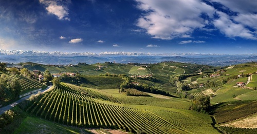 Spring in the Langhe: Sun, Wine and Food in an Enchanting Setting